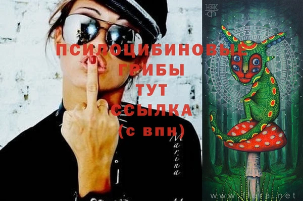 мдма Кодинск