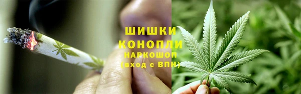 ECSTASY Коряжма