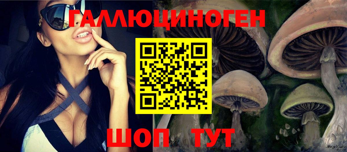 Псилоцибиновые грибы Psilocybe  Вход с VPN  Кудымкар 